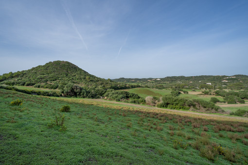 View over the plot and the countryside