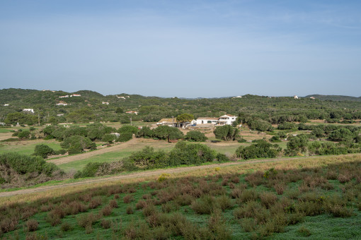 View of the finca