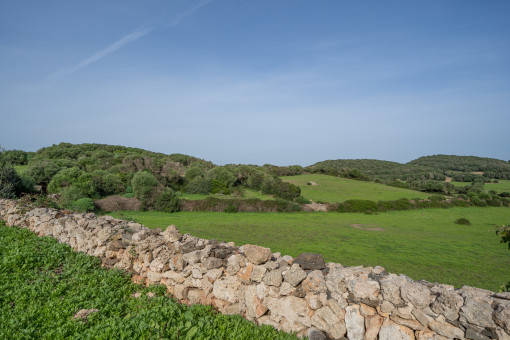 View over the plot and the countryside