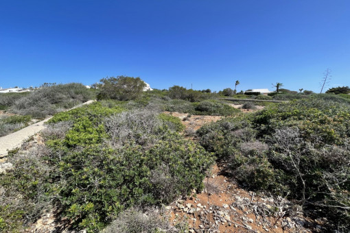 Magnificent investment plot, first line of sea, sea view, located in Binidali, Menorca.